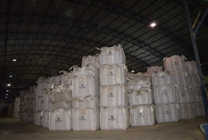 Cocapec começa a receber café dos cooperados