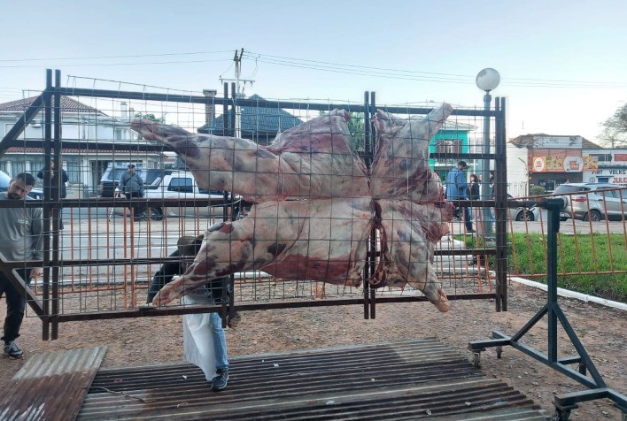 Evento em São Borja terá carcaça de búfalo inteira assada