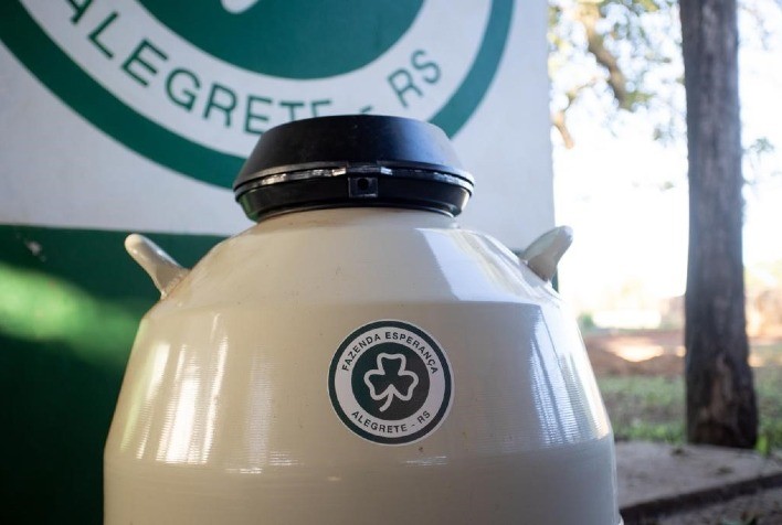 A força do embrião para a aceleração da genética: 30 anos em 3