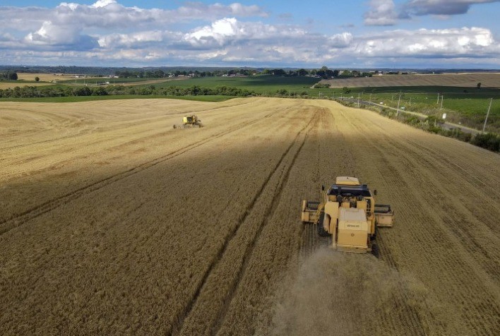 ECONOMIA: PIB do Paraná cresce 9,16% no 1º trimestre de 2023