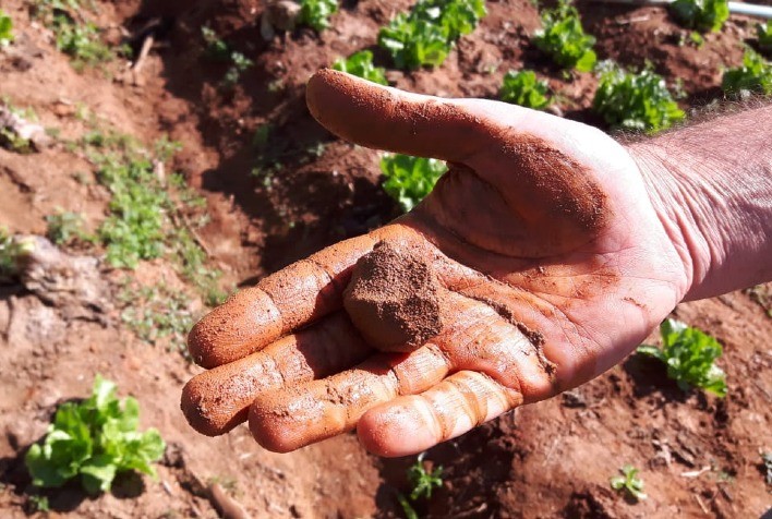 Solo na extensão rural no Estado do Paraná