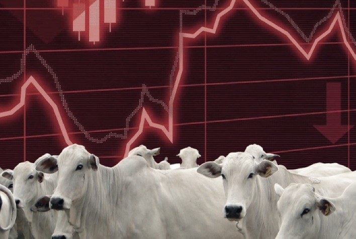 Pecuária: o que nos aguarda no segundo semestre?