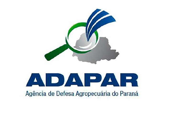 Paraná tem cinco focos de influenza aviária; Adapar monitora os casos