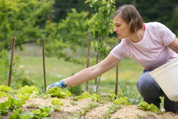 A aposta por sistemas agrossilvipastoris é o caminho mais eficiente para a produção de mais alimentos e para a mitigação simultânea dos efeitos da mudança do clima: CIAT