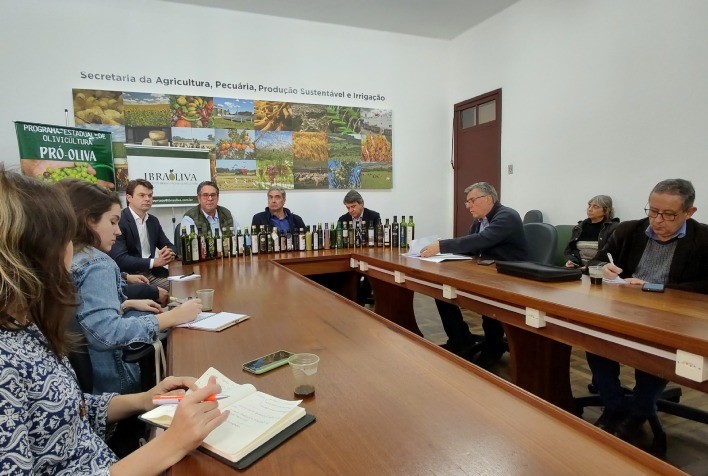 Safra gaúcha de azeites de oliva bate recorde e registra mais de 580 mil litros em 2022/2023