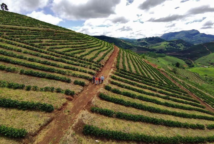 Projeto Campo Futuro: painéis analisam custos de produção em MG
