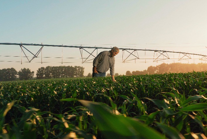 Sicredi disponibiliza R$ 60 bilhões para safra 2023/2024