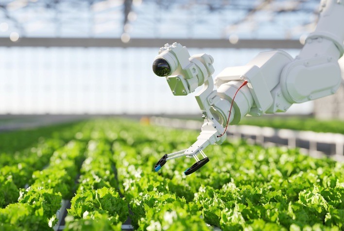 Robótica na agricultura: inovações que vão impulsionar o campo