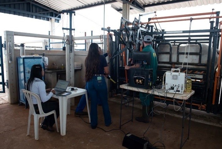 ABCZ divulga resultados da etapa de Eficiência Alimentar do Programa “Zebu: Carne de Qualidade”