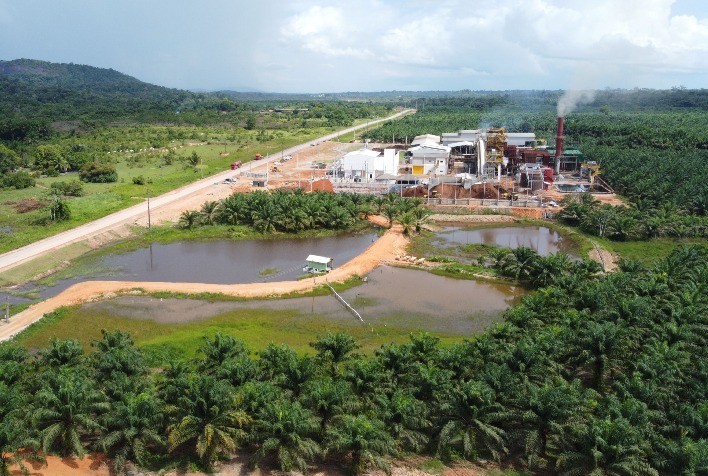 Grupo BBF defende potencial de produção de óleo de palma na região amazônica