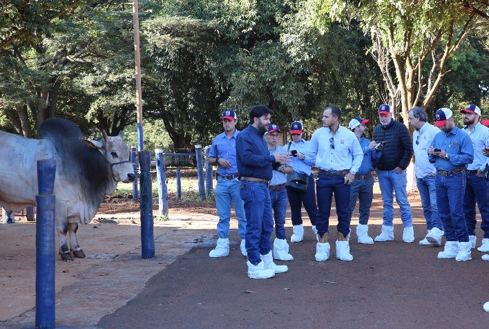 Veterinários de Mato Grosso e Mato Grosso do Sul buscam soluções para pecuaristas de corte