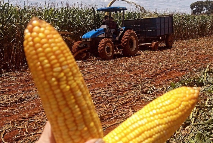 Empresa catarinense do agro é referência de empreendedorismo no campo