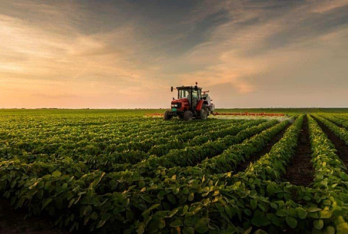 Decisões do STF sobre defensivos ameaçam o agro brasileiro