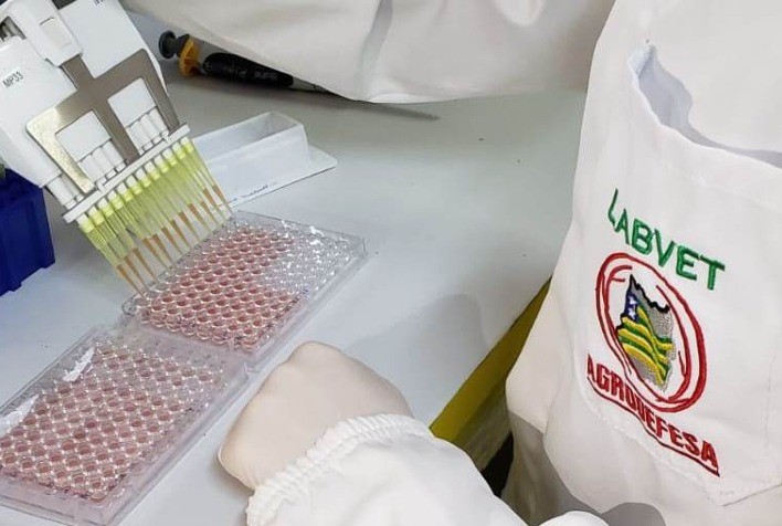 Referências na defesa agropecuária, os laboratórios da Agrodefesa contribuem para a qualidade do alimento que chega à população