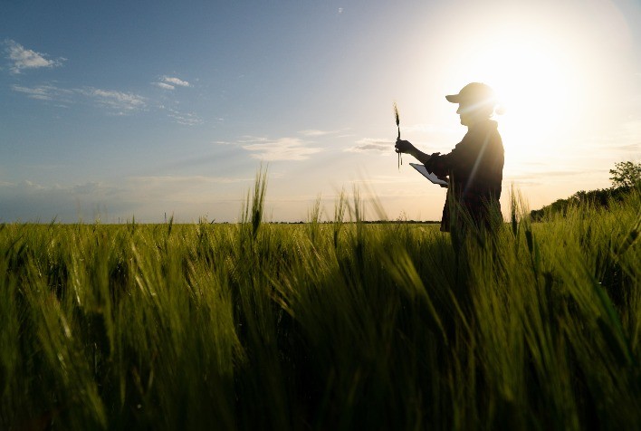 Como a inovação no agronegócio é uma importante aliada ao combate às mudanças climáticas