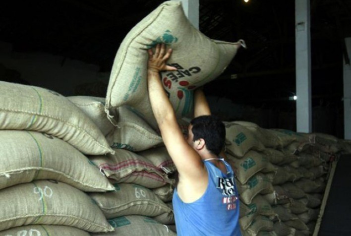 OIC aponta aumento nas exportações mundiais de café em maio, mas queda se mantém na temporada