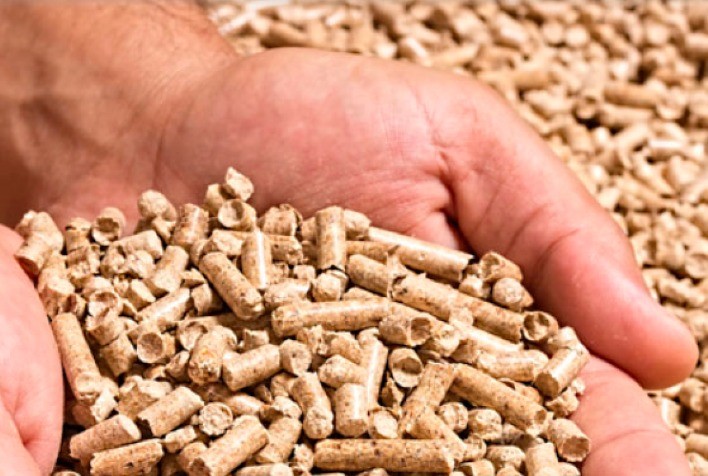 Eficiência Energética na Alimentação dos Animais: Como aproveitar ao máximo a energia já existente na dieta?