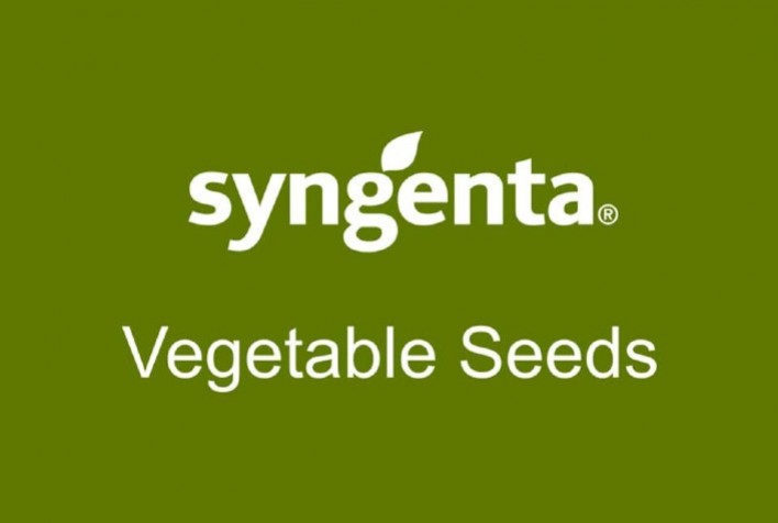 Syngenta Vegetable Seeds completa aquisição da Feltrin Sementes