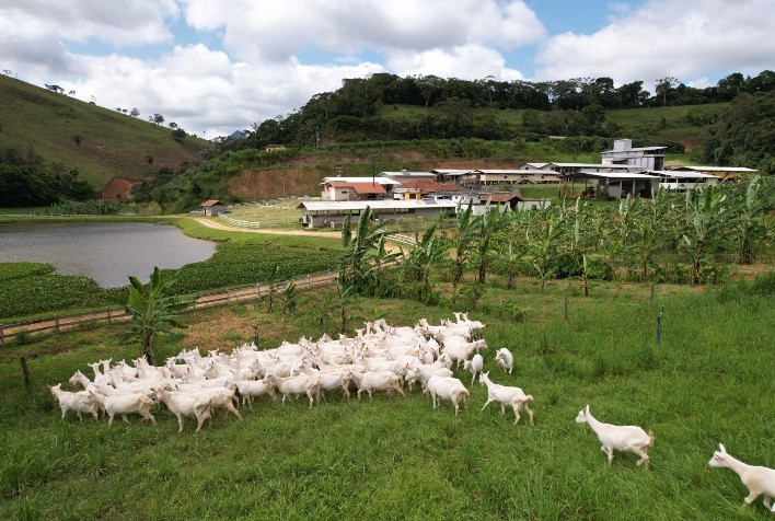 Propriedade da Granja Capriana é opção para turistas conhecerem uma autêntica agroindústria e passarem por experiência única