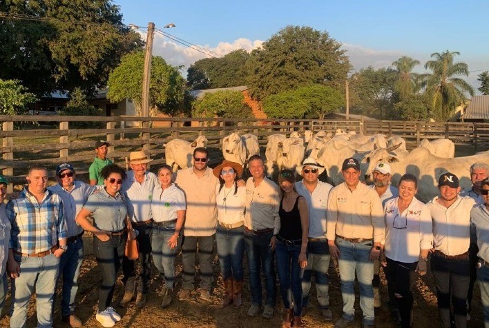 De forma inédita, equipe de Fomento da ABCZ implanta PMGZ Corte em criatório na região de Beni, na Bolívia