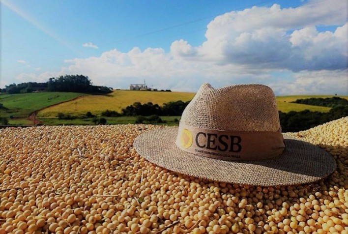 Soja brasileira: mais produtividade, mais sustentabilidade