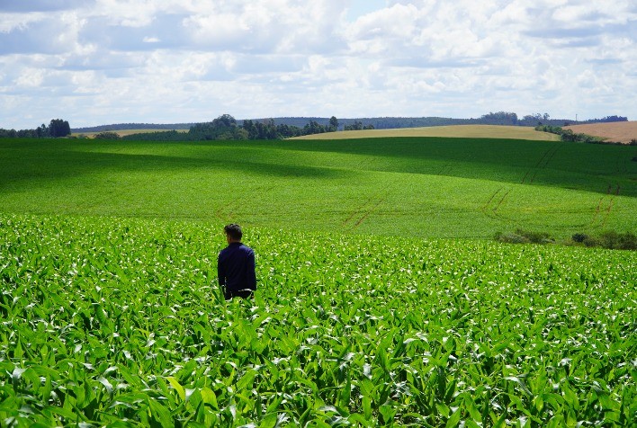 Um agricultor, buscando o aumento da produtivid