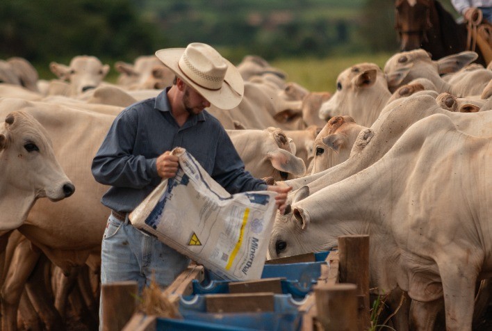 Suplementação de bovinos nas secas é ferramenta para otimizar recursos e custos nas fazendas