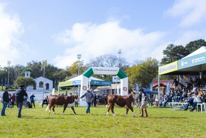 ABHB divulga programação dos julgamentos da 46ª Expointer