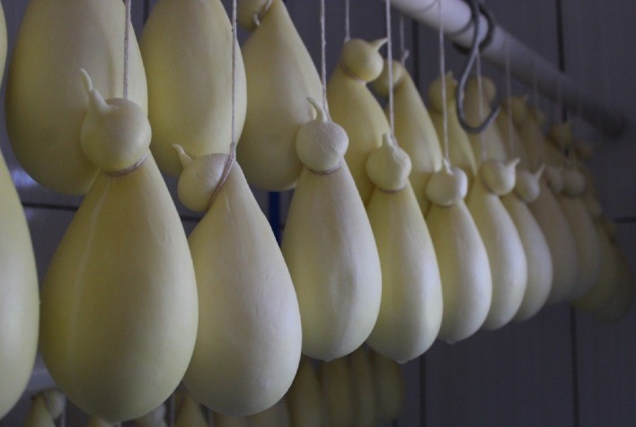 Modo de fazer queijo artesanal Cabacinha é patrimônio mineiro