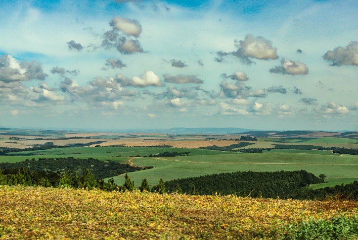 Boletim do IDR-Paraná analisa chuvas baixas de junho e o reflexo na produção agrícola