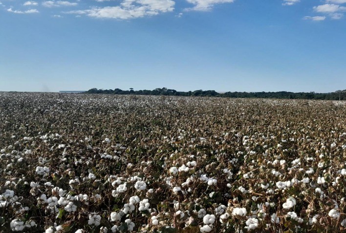Começou mais uma edição do Road Show MT para jornalistas e influenciadores do Agro