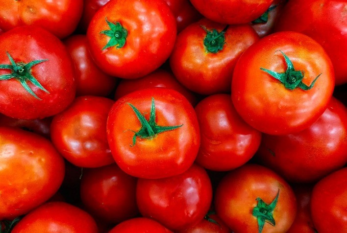 Emater realiza concurso do Melhor Tomate 2023 de Goianápolis