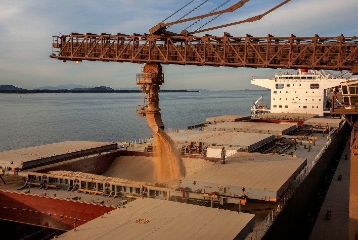 Anec eleva previsão de exportações de soja, farelo e milho do Brasil em julho