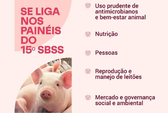 15º SBSS terá palestra sobre responsabilidades individuais