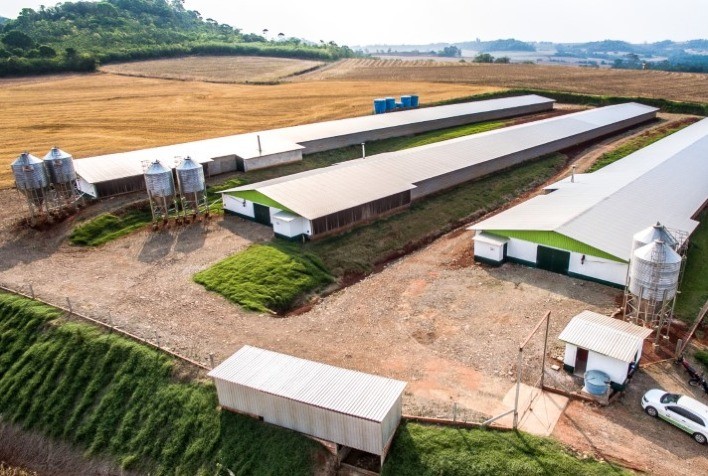 ESG: Avicultura do Paraná adota modelo de desenvolvimento sustentável