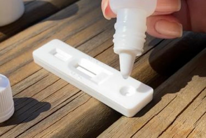 Kit rápido de identificação de leite A2 simplifica seleção nos rebanhos leiteiros