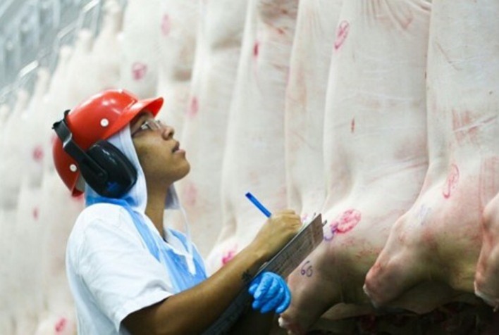 Exportação de carne suína cresceu 5% nos últimos dois anos