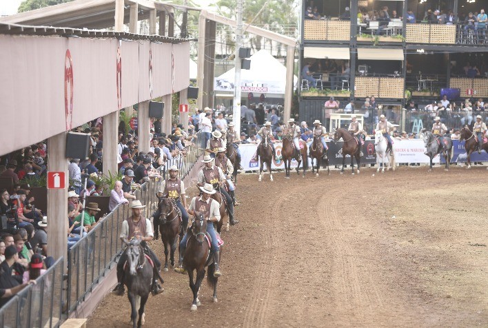 Belo Horizonte recebe a 40ª Exposição Nacional do Cavalo Mangalarga Marchador