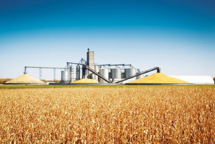Armazenamento inadequado de grãos pode gerar impacto para nutrição animal