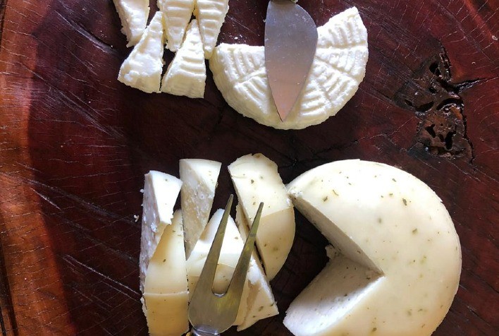 Queijo de leite de cabra produzido na Paraíba obtém premiação nacional