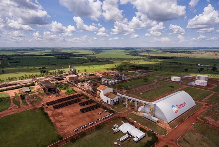 Com clima favorável, Tereos eleva estimativas de produção de cana no Brasil