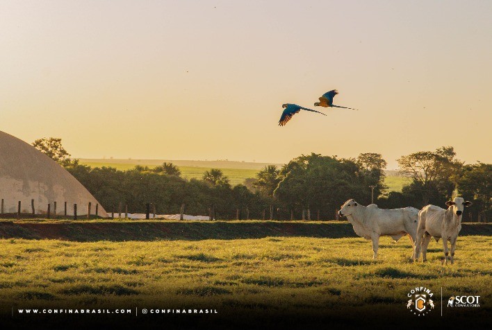 Mato Grosso do Sul e Mato Grosso recebem a segunda rota do Confina Brasil 2023