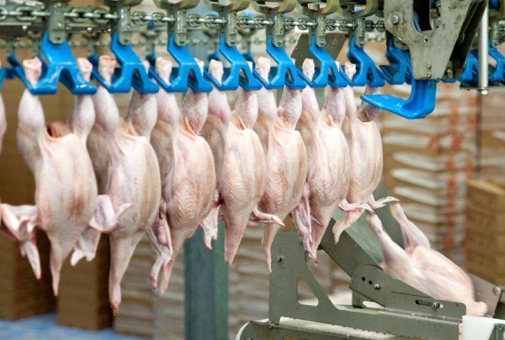 ABPA, ACAV e Sindicarne lamentam decisão do Japão de suspender importações de carne de frango de Santa Catarina