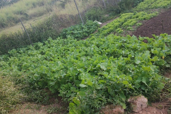 Minas Gerais receberá R$ 9 milhões em recursos federais para o Programa de Aquisição de Alimentos - PAA