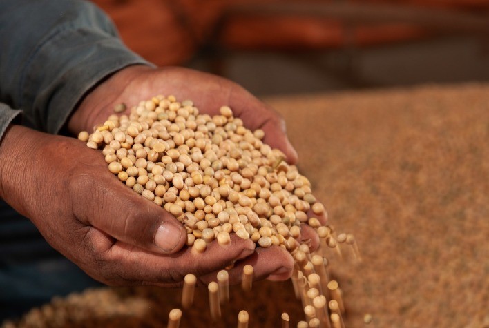 Complexo soja responde por 73% das exportações do agro goiano no 1º semestre de 2023