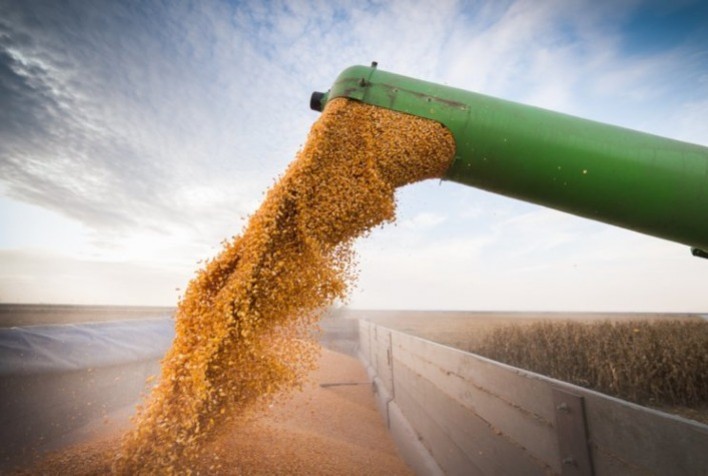 Colheita do milho volta a avançar no Paraná e Deral relata altos e baixos de produtividades em diferentes regiões do estado