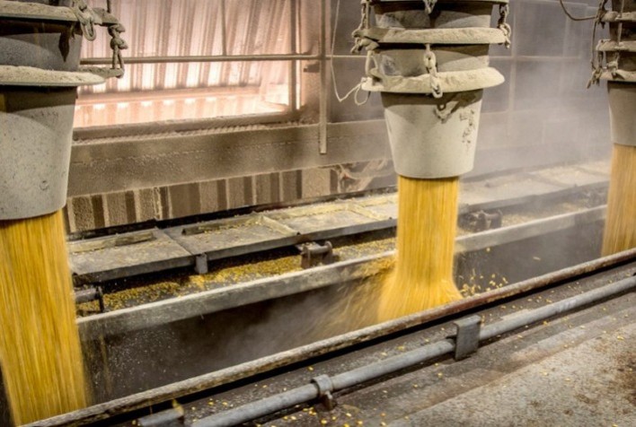 MT registra redução no esmagamento de soja