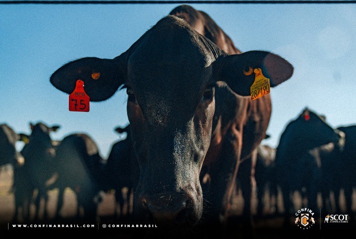 Primeira rota do Confina Brasil 2023 encerra com visitas em Goiás