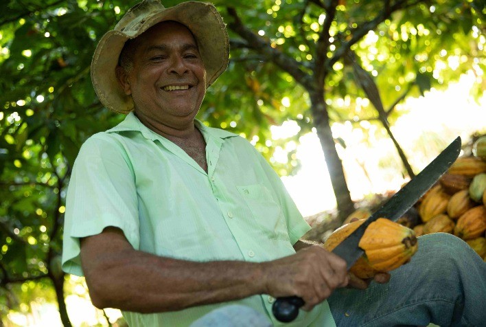 Painel financiado pelo Fundo JBS pela Amazônia gera dados inéditos da cadeia do açaí, cacau e babaçu em 35 anos