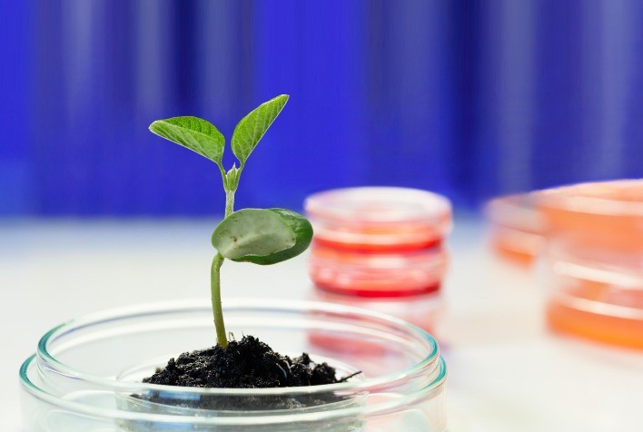 Brasil utiliza mais de 130 milhões de doses de inoculantes biológicos nas lavouras e os benefícios ambientais ganham destaque